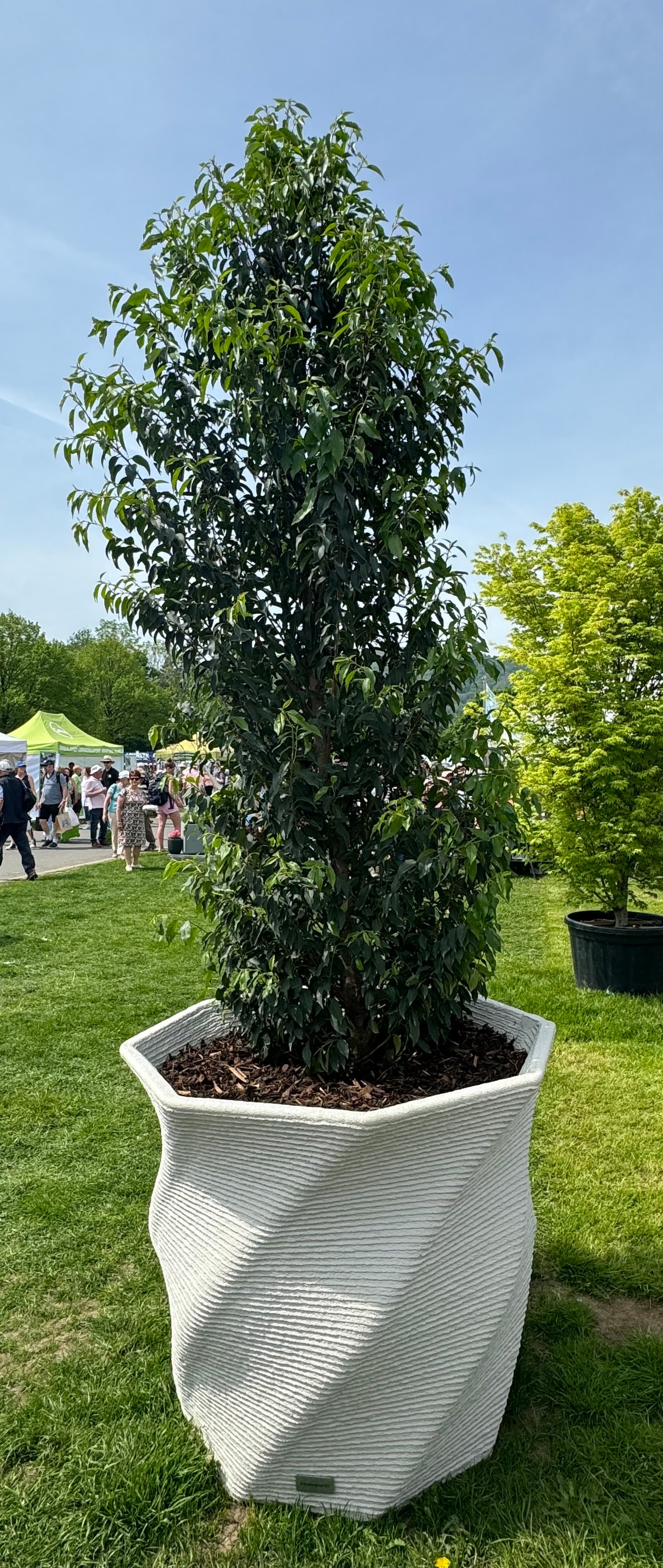 Giant Spiral Planter